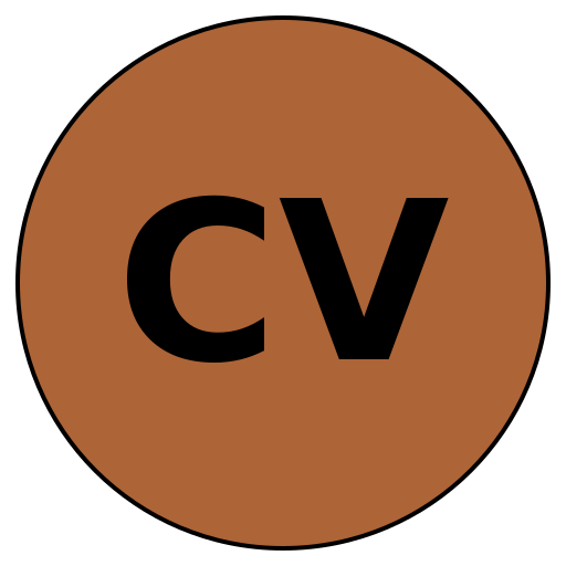 CareerVoyage